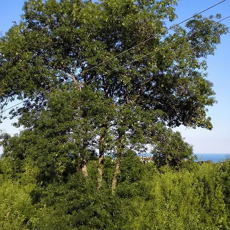 Hébergement de vacances Green